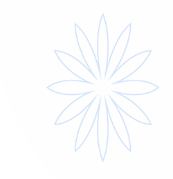 谈球吧APP